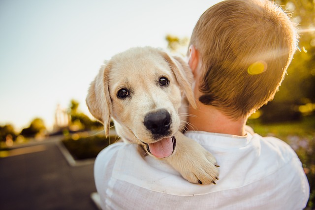 a boy holding his dog