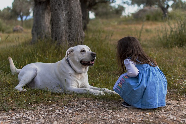 a little girl and her dog looking at each other