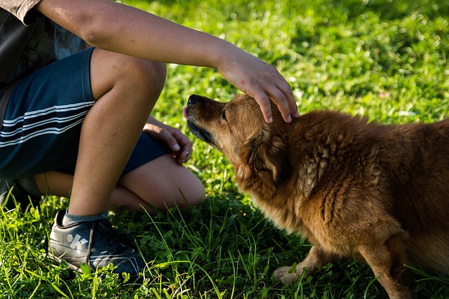 a boy petting his dog