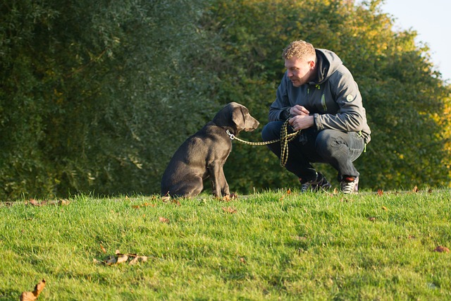 a man looking at his dog