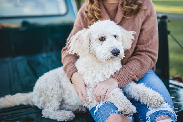 a woman and her dog sitting on the tailgate of a truck
