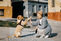 a girl and dog high fiving