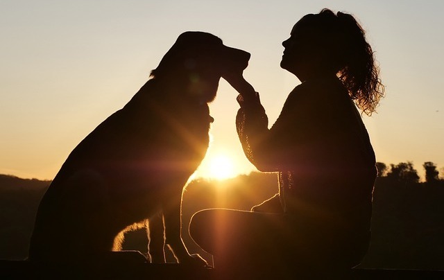 a girl and dog sitting in the sunset